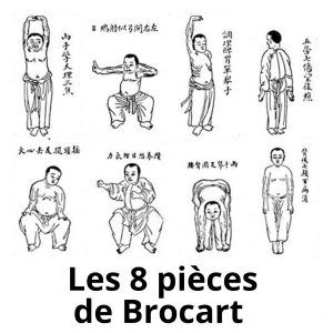 Illustration des 8 pieces de brocart